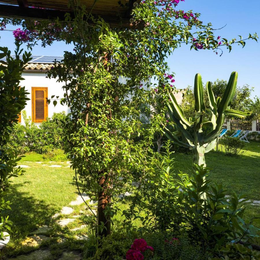 Stagnone Area Zero Bed and Breakfast Birgi Vecchi Buitenkant foto